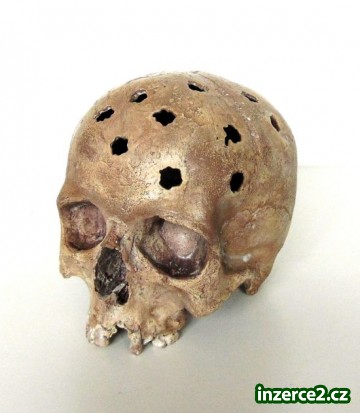 repliky lidských lebek_2 454611_2.jpg
