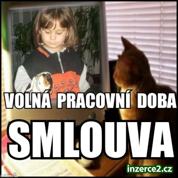 Nabídka spolupráce_1 455488_1.jpg