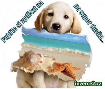 Finanční injekce do 60 000 Kč!_1 457399_1.jpg