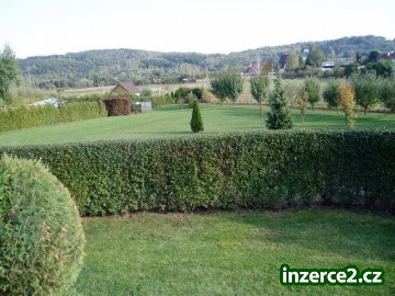 Stavební pozemek ve Stříbře_2 45924_2.jpg