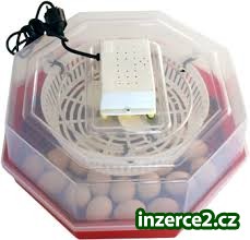Prodám Líheň A00 bez natáčení s analogovým teploměrem_1 460554_1.jpg