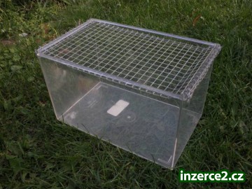 Prodej klecí a činčil_2 466837_2.jpg
