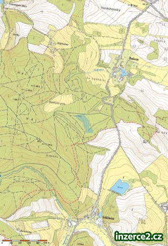 prodám les_1 467409_1.jpg