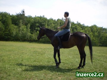 NABÍZÍM JEŽDĚNÍ NA A1/1_1 4686_1.jpg