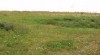 Pozemek v areálu bývalé farmy v Bořenovicích, 8546m 471387_t.jpg