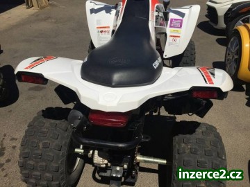 CAN-AM DS 250_2 478167_2.jpg