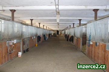 Nabízíme ustájení koní v areálu Těchov u Blanska._1 481978_1.jpg