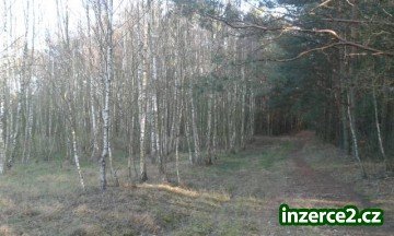 Pozemek o celkové rozloze 7600 m2 á 200kč za m2_2 482365_2.jpg