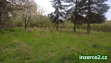 Prodej, zahrada 1570 m2, Libočany (okr. Louny)_2 485491_2.jpg