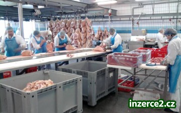 Belgie, Holandsko, Německo- řezník- bez poplatků!_2 487273_2.jpg