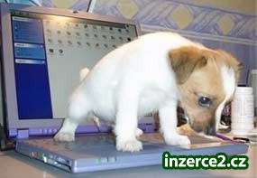 vydělávej svym PC_1 49140_1.jpg