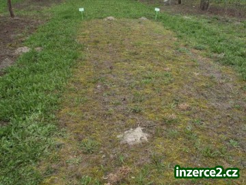 Bio totální herbicid_1 492538_1.jpg