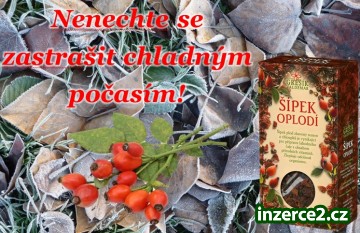 Předejděte podzimním malérům!_1 494693_1.jpg