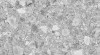 497773_t.jpg