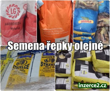 Semena řepky olejné Dekalb, Euralis, KWS, LG, Rapool NPZ, Pioneer_1 505442_1.jpg