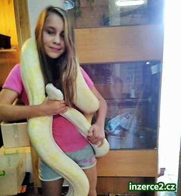 Krajty Tmavé_1 508126_1.jpg