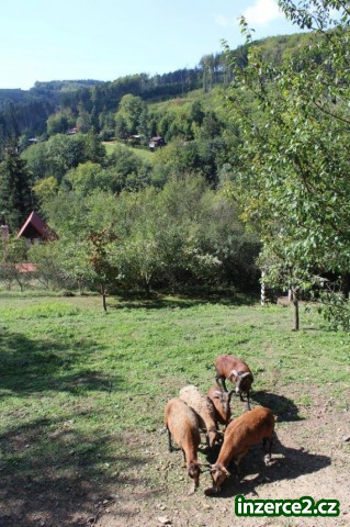 Prodej pozemku 1590 m2, Rusava_1 518621_1.jpg