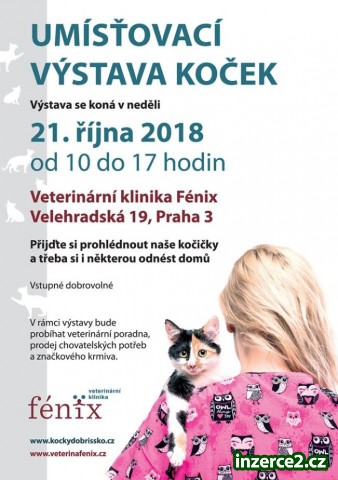 Umísťovací výstava koček v Praze 3_1 518971_1.jpg