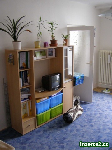 Pronájem Lesná_1 520923_1.jpg