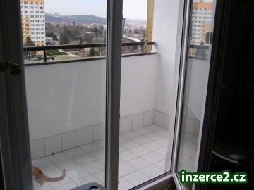 Pronájem Lesná_2 520923_2.jpg