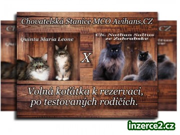 Chovatelská stanice MCO Avihans,CZ_1 523295_1.jpg