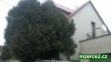 Nabízím pronájem bez realitky a kauce - Plzeň_1 524364_1.jpg
