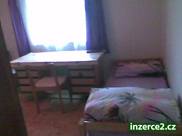 Nabízím pronájem bez realitky a kauce - Plzeň_2 524364_2.jpg