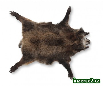 Dekorativní kožešina z divočáka_1 525685_1.jpg