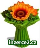 Nabízím možnost přivýdělku._1 54375_1.jpg