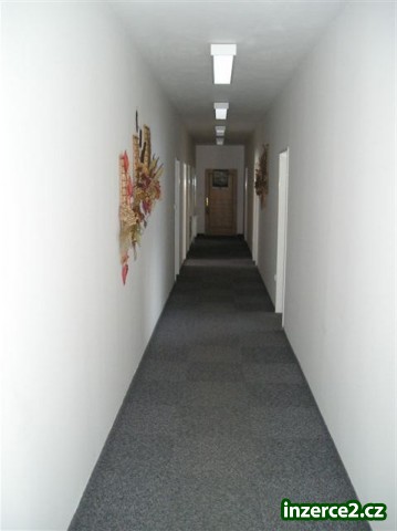 54404_2.jpg