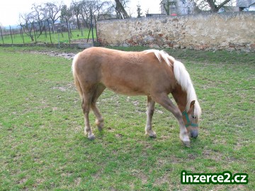 Hafling_2 56032_2.jpg