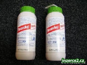 ROUNDUP_1 566_1.jpg