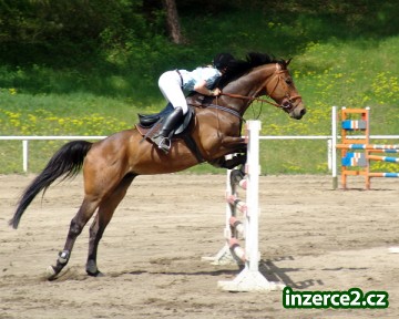 HLEDÁME SPONZORA_1 57261_1.jpg
