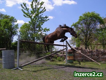 tábor 2009_1 58513_1.jpg