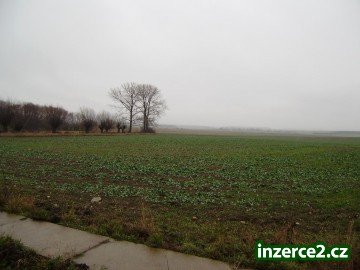 Prodej pozemků pro výstavbu rodinných domů v Králově Lhotě_1 59285_1.jpg