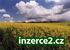 Skvělý přivýdělek_1 62273_1.jpg