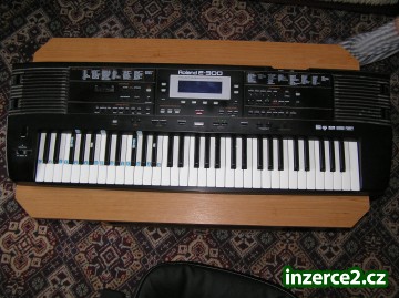 65261_1.jpg
