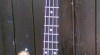 baskytara MusicMan StingRay 69153_t.jpg