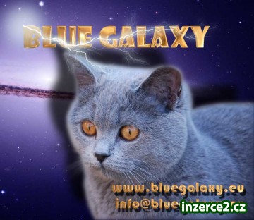 Blue Galaxy*CZ_1 6956_1.jpg