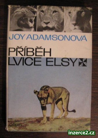 Kniha: Joy Adamsonová - Příběh lvice Elsy_1 69693_1.jpg