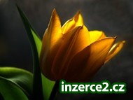 70410_1.jpg