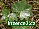 Nezapomínejte na své zdraví!_1 72349_1.jpg
