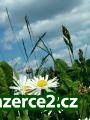 Pracujte s přírodou..._1 72620_1.jpg
