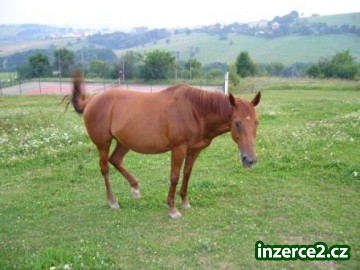 73258_1.jpg