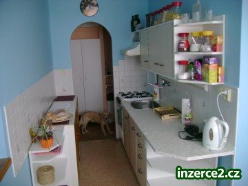 Nabízím pronájem pokoje_1 78161_1.jpg
