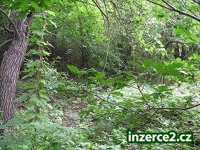 Prodám pozemky 2983m2 v Mostě - Souši_2 832_2.jpg