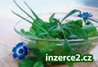Hledám POUZE 5 spolehlivých lidí!!!_1 84186_1.jpg