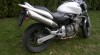 hornet 8840_t.jpg
