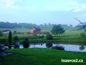 Pronajmu pokoj na malé farmě na Vysočině_1 896_1.jpg