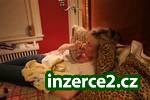 Vynikající Žena Kapucínský opice k přijetí_2 95270_2.jpg